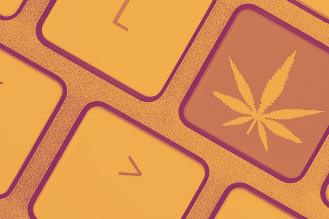 bundle-cannabis-gestionnaire