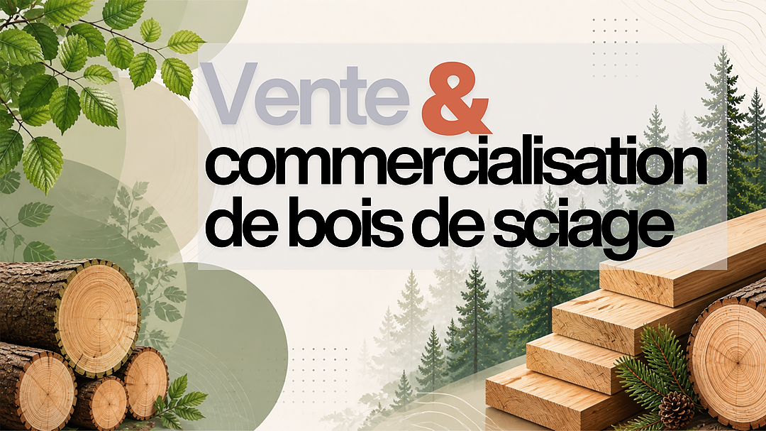 Profil combiné résineux et feuillus