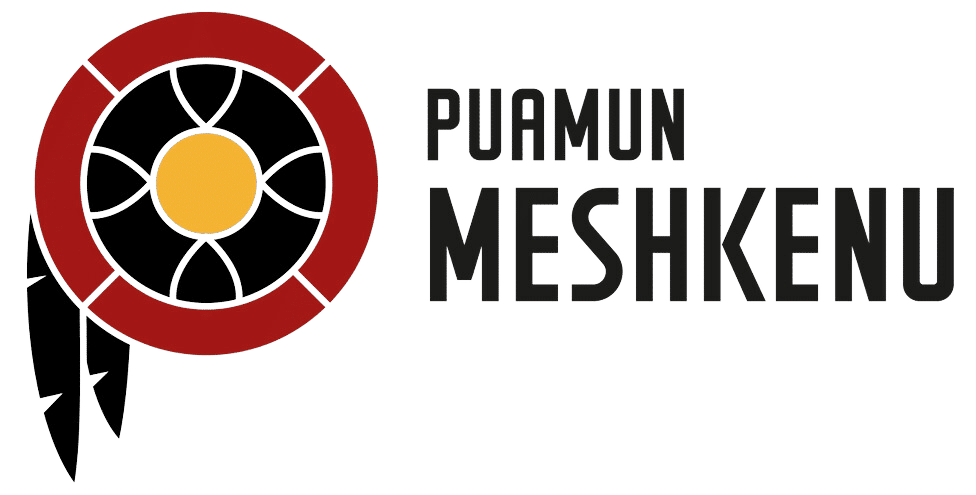 Formation Puamun